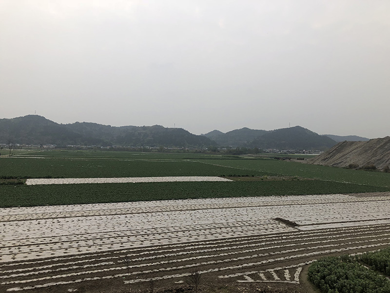 市、縣領(lǐng)導(dǎo)現(xiàn)場(chǎng)調(diào)研天馬50萬(wàn)噸玻瓶項(xiàng)目(圖7)